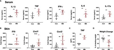 Pathologic Inflammation in Malnutrition Is Driven by Proinflammatory Intestinal Microbiota, Large Intestine Barrier Dysfunction, and Translocation of Bacterial Lipopolysaccharide